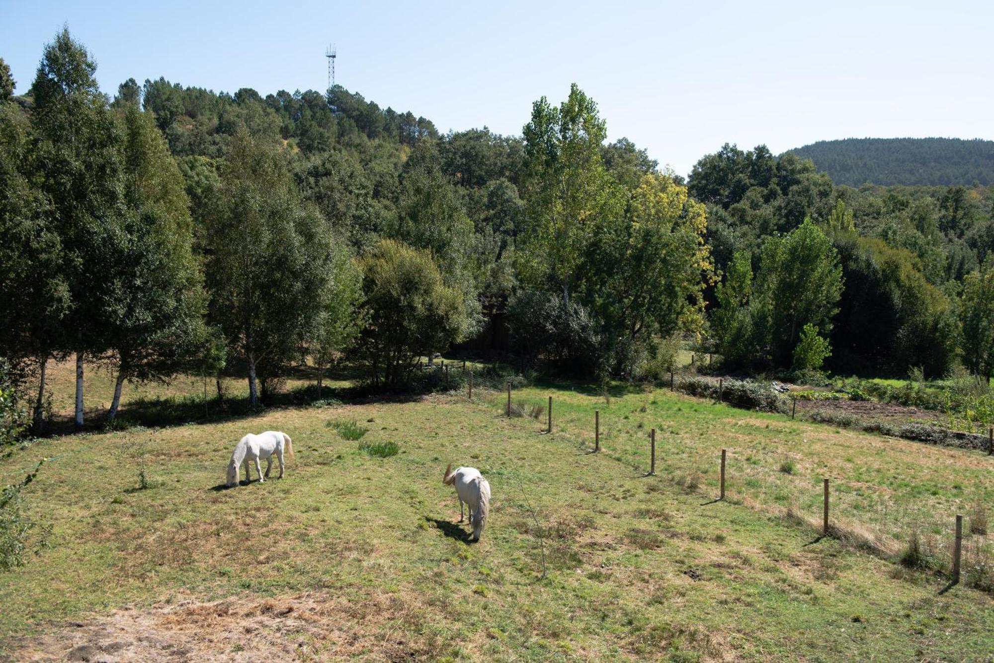 A Lagosta Perdida Montezinho Buitenkant foto